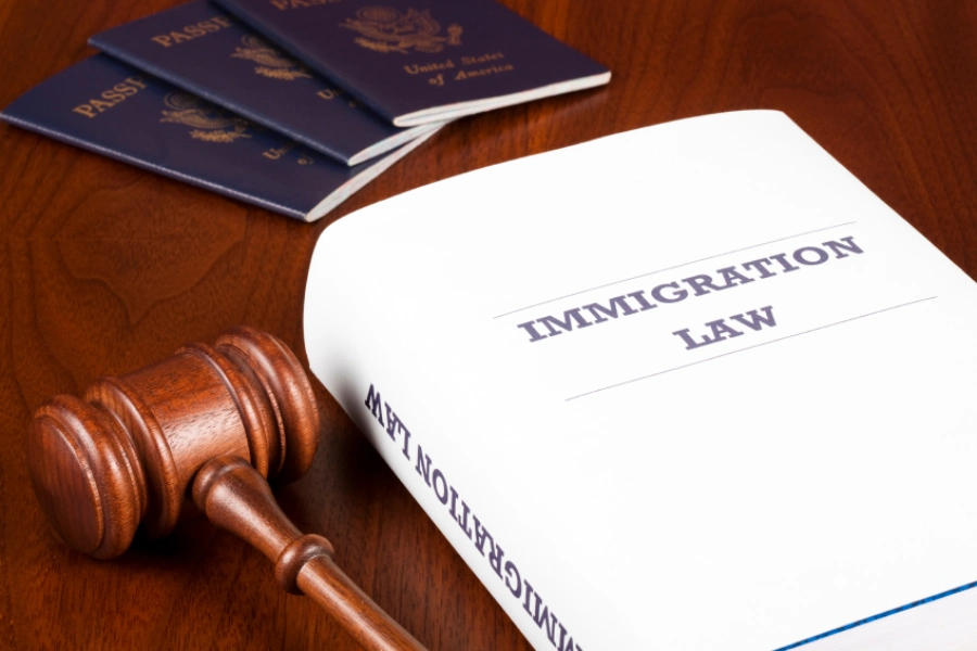 ICE warrant rights