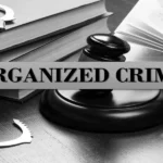 Organized crime and cryptocurrency