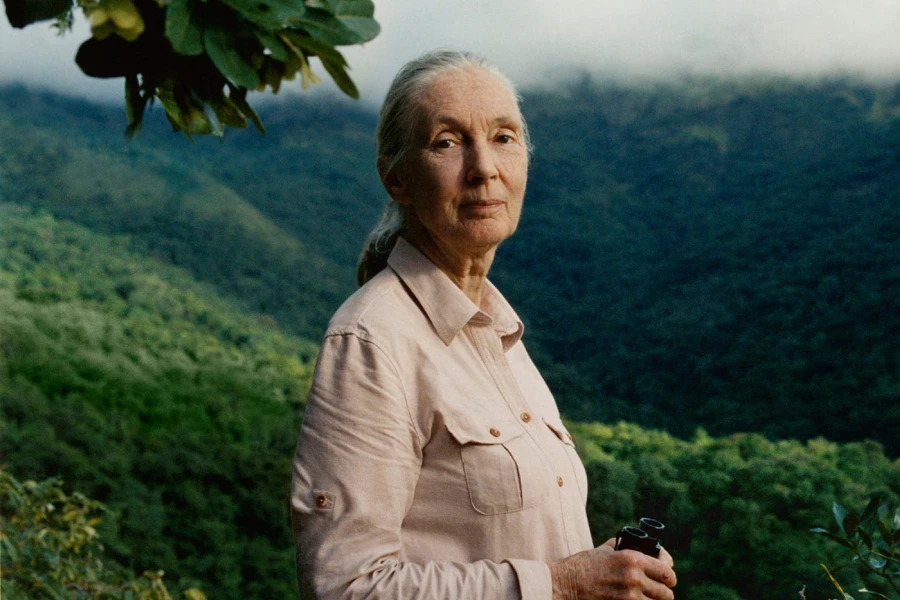 Jane Goodall dies at 91