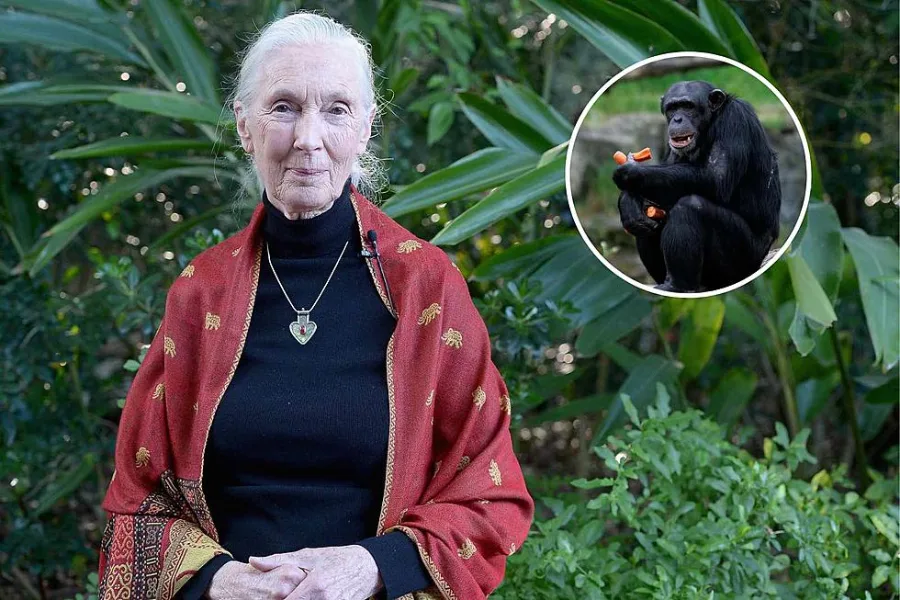Jane Goodall death news