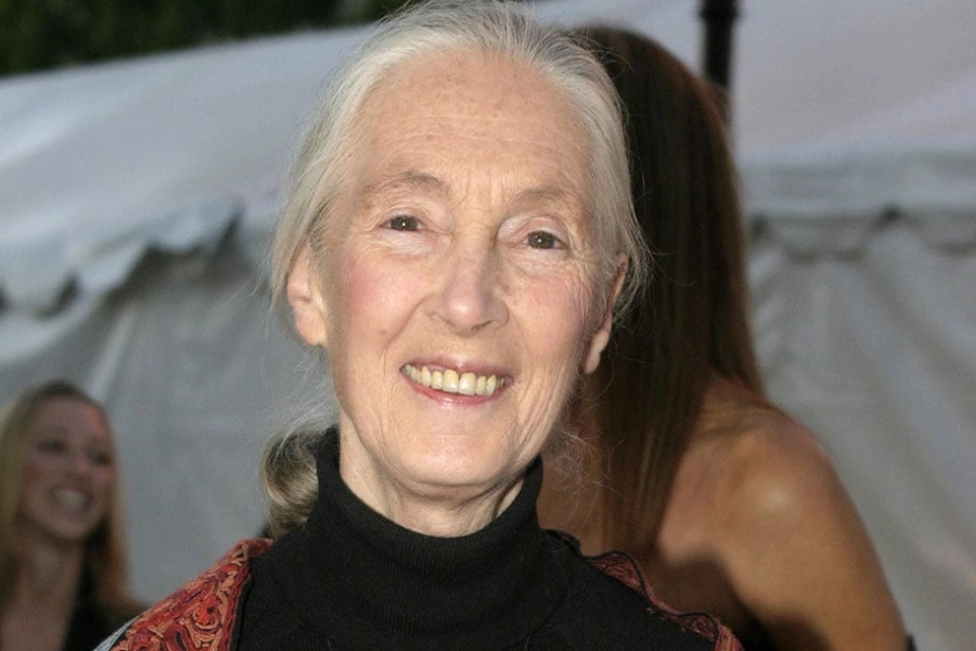 What did Jane Goodall do