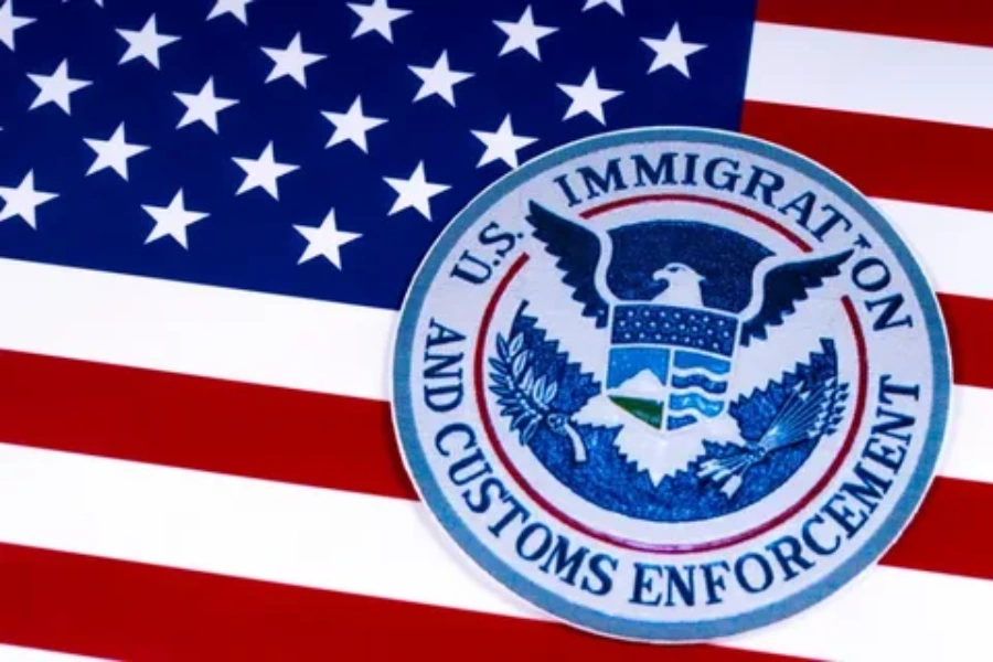 USCIS citizenship application surge